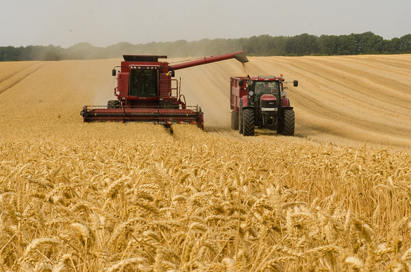 세계식량가격지수 전월 대비 12.6% 상승