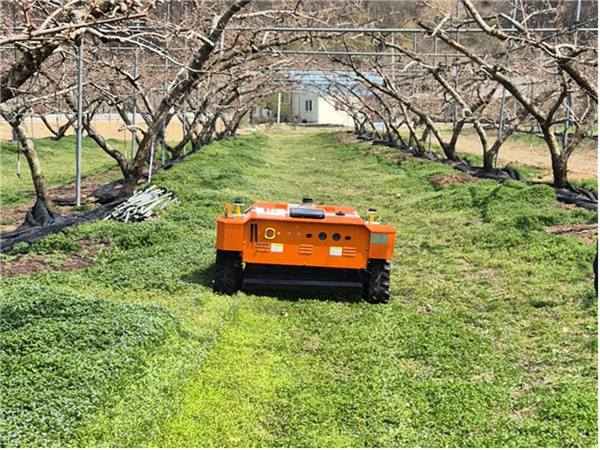 농업 현장에 투입되는 로봇... 도우미 역할 '톡톡' - 뉴스 썸네일 이미지