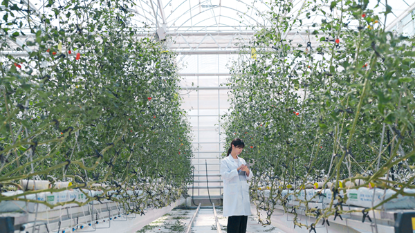 ㈜경농, 스마트팜혁신밸리 우수실증기업 선정 - 뉴스 썸네일 이미지