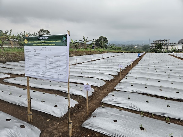 해외 농업현장에서 성능 검증... 농기자재 수출 디딤돌 놓는다 - 뉴스 썸네일 이미지
