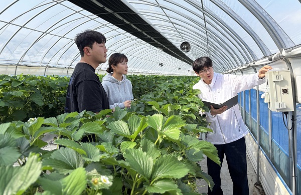 전남농업기술원, 영농 창업 실패 줄인다...청년농 경영실습 임대농장 임... - 뉴스 썸네일 이미지
