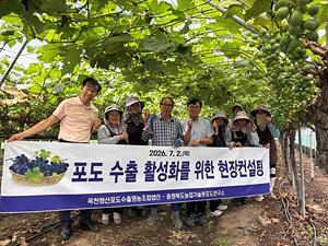 충북 포도, 수출 현장 이상 無… 품질·안전 모두 잡았다