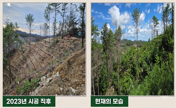 산불피해목부터 드론·AI까지...산림생태복원 '현장 기술' 7건 선정 - 뉴스 썸네일 이미지