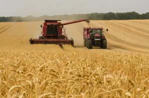 우크라 곡물 수출 재개, 밥상 물가 안정되나?