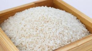 미래 먹거리 '쌀가루' 산업 발전협의체 출범