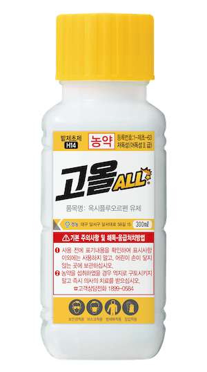 마늘·양파 잡초, 파종·정식 전에 잡아야...경농 '고올·한사리' 제안 - 뉴스 썸네일 이미지